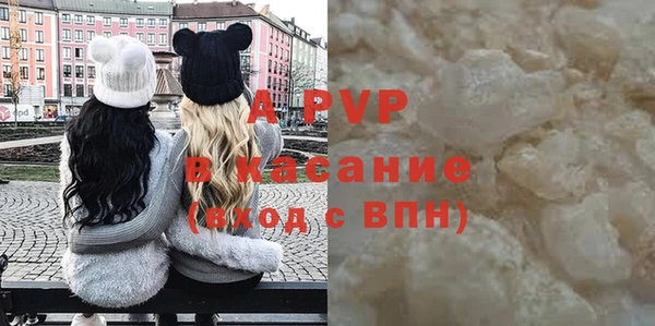 сатива Арсеньев