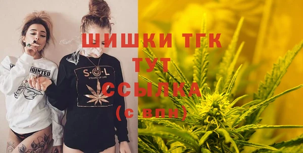 сатива Арсеньев