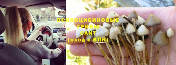не бодяженный Аркадак