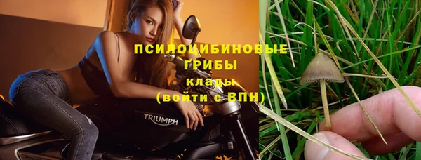 не бодяженный Аркадак