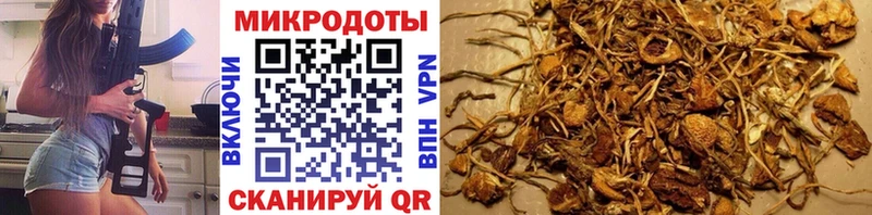 Галлюциногенные грибы Psilocybe блэк спрут сайт Пыть-Ях дарнет шоп